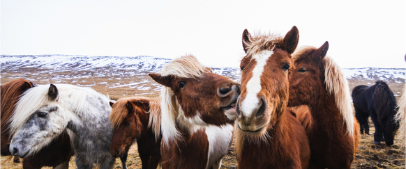 Explore Categories Image