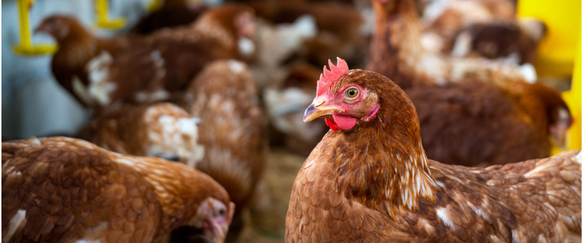 Explore Careers Image