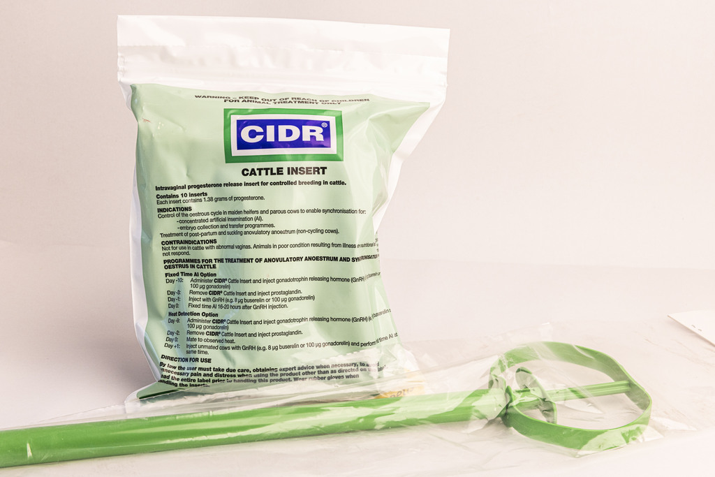 EAZI-BREED™ CIDR® Cattle
